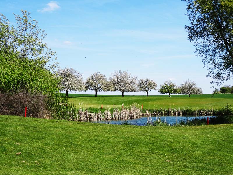 Blick über den See von der Spielbahn 18 auf das vierzehnte Grün des 18-Loch Platzes der Golfanlage Kaiserhöhe.